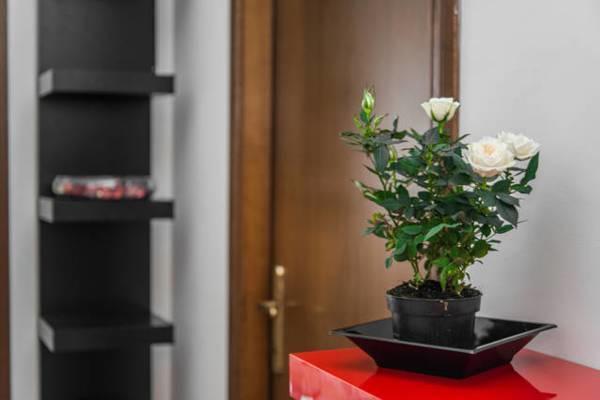 Tolli Hotel โรม ภายนอก รูปภาพ